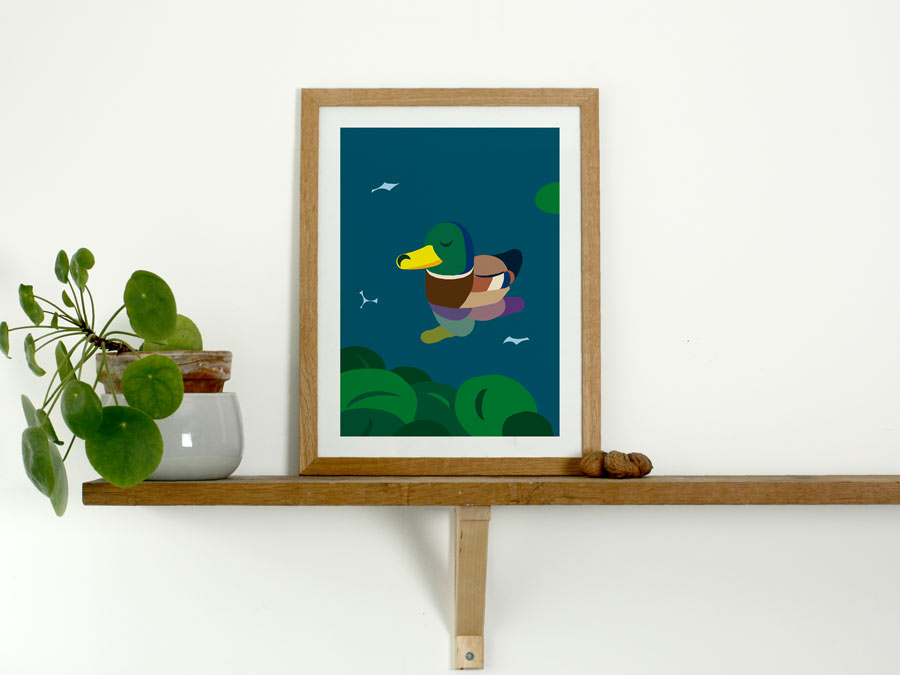 Tirage Canard 30x40