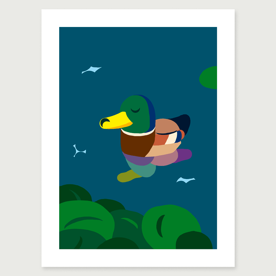Tirage Canard
